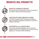 Royal Canin Veterinary Diet Dog Adult Small Gastrointestinal Low Fat 1,5 kg