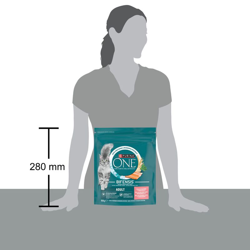 Purina One Bifensis Cat Adult  Salmone e Cereali Integrali 800 gr