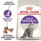 Royal Canin Cat Adult Sensible 33 4 kg