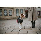 Hunter Impermeabile per cani Uppsala Cozy nero e rosso tg. 40