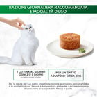 Gourmet Nature's Creations Fiocchi di Tonnetto in Gel&egrave;e con Gamberetti 70gr