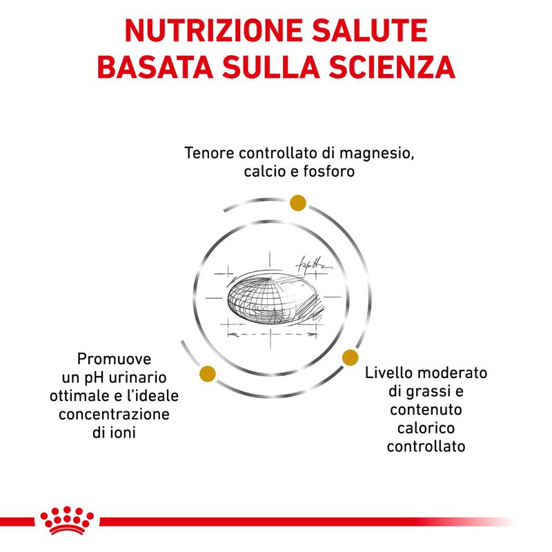 Royal Canin Veterinary Diet Cat Urinary S/O Moderate Calorie 1,5 kg