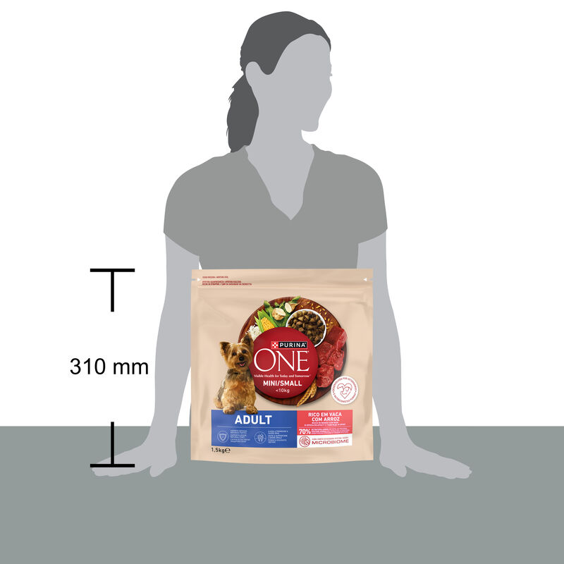 Purina One Dog Mini Adult con Manzo e Riso 800 gr