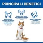 Hill's Science Plan Cat Adult Sterilises Salmone 3 kg
