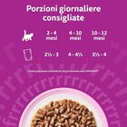 Whiskas Cat Junior Selezione Delicata in Gelatina 4 pz x 85 gr