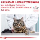Royal Canin Veterinary Diet Cat Sensitivity Control 400 gr