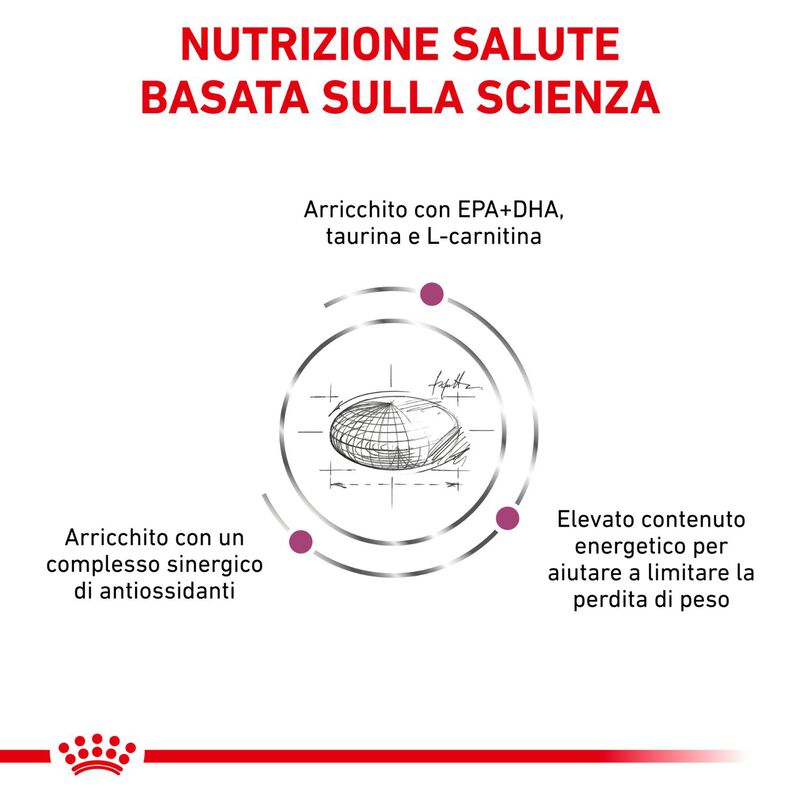Royal Canin Veterinary Diet Dog Cardiac 2 kg 