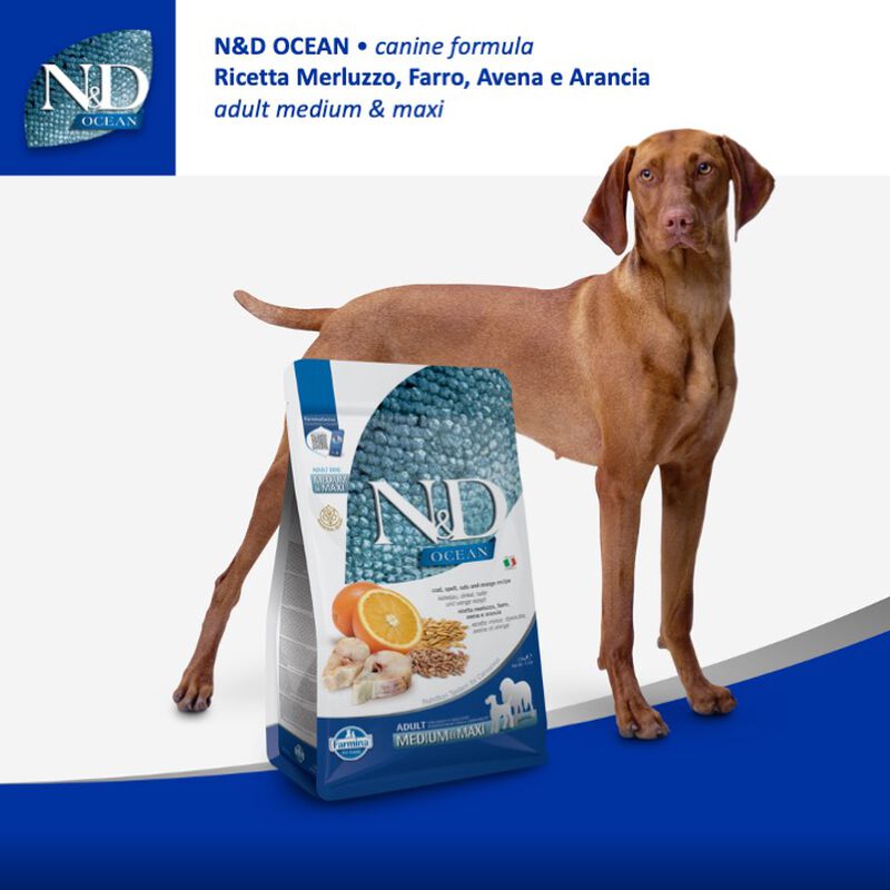 N&D Farmina Ocean Dog Adult Medium & Maxi Merluzzo, Farro, Avena & Arancia 12 kg