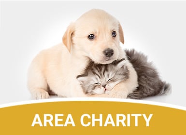 Area charity