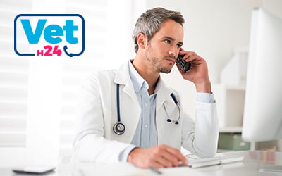 Consulenza veterinaria telefonica vet h24