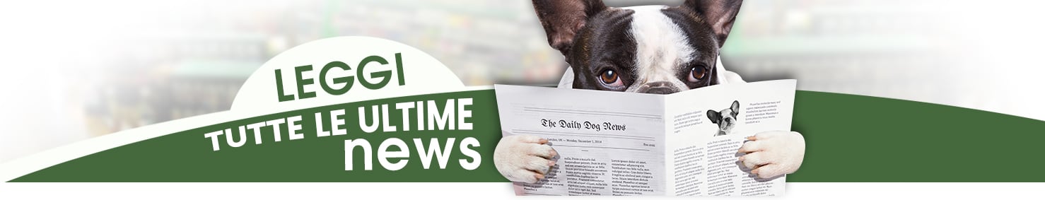 Isola dei Tesori - News Banner