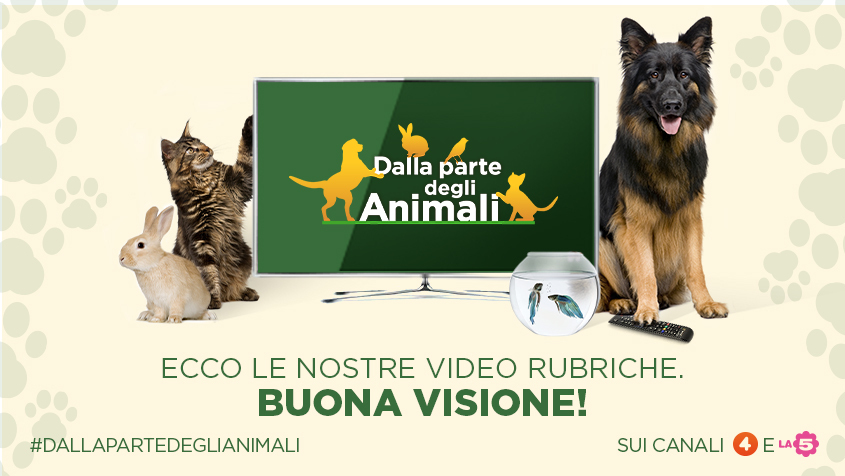 DALLA PARTE DEGLI ANIMALI - Video Rubriche