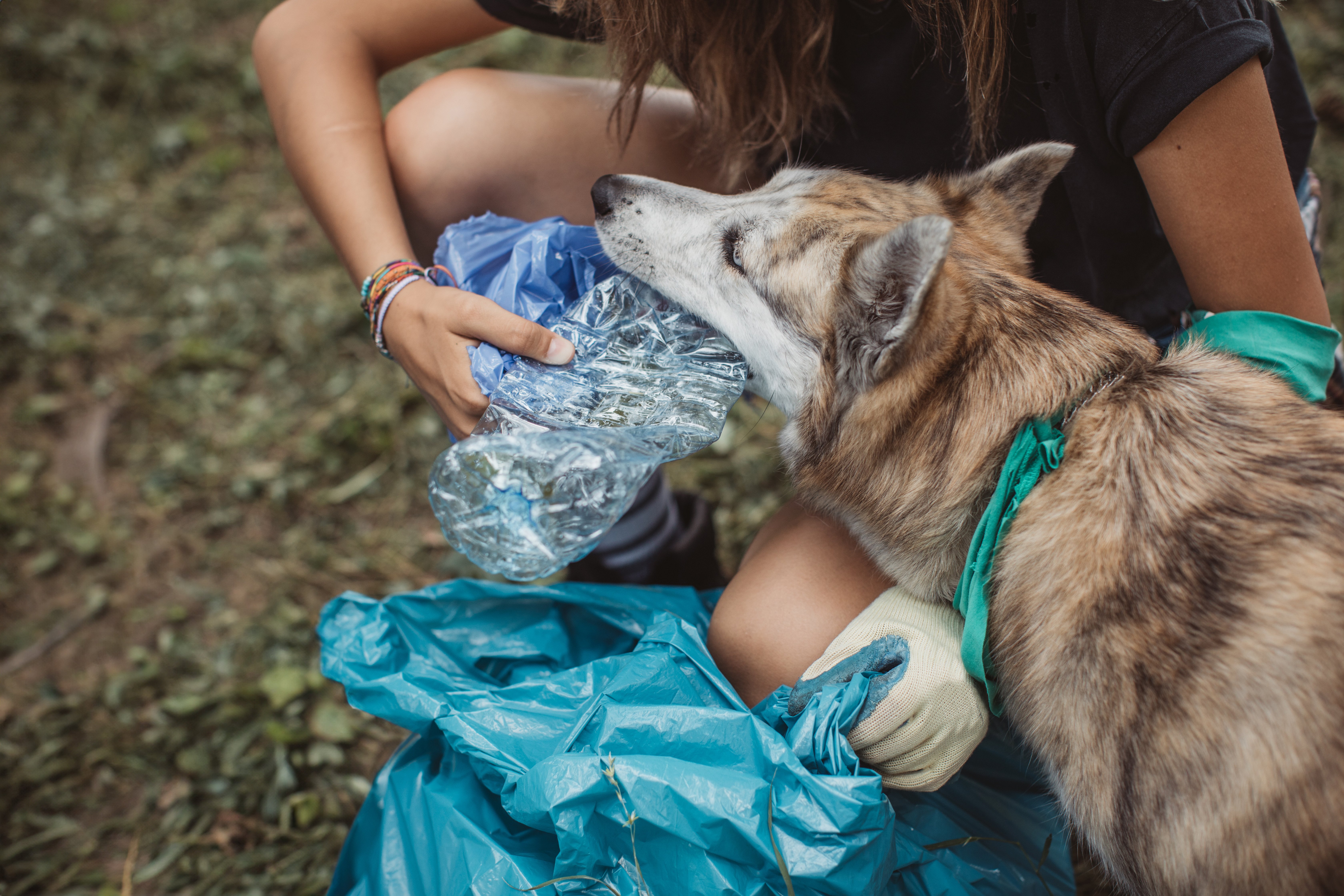 SHOPPER ECOLOGICHE PER UN IMPEGNO GREEN