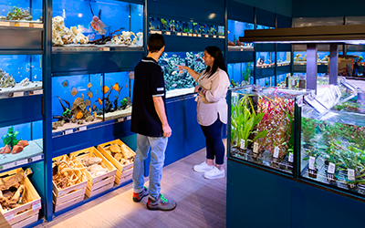 Esperto acquariofilo