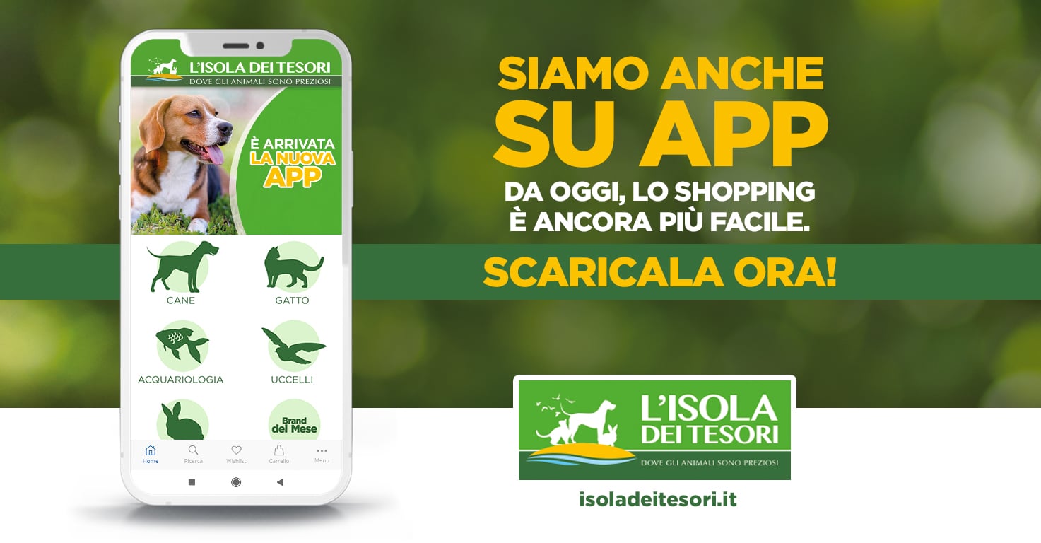 &Eacute; arrivata l'app de L'Isola dei Tesori