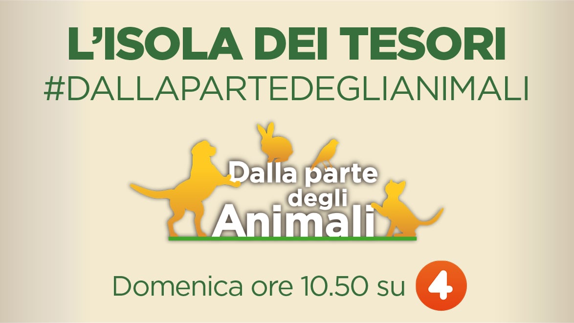 DALLA PARTE DEGLI ANIMALI