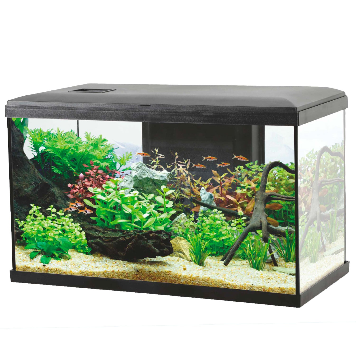 Acqualovers Ocean 60lt Acqualovers Ocean 60lt