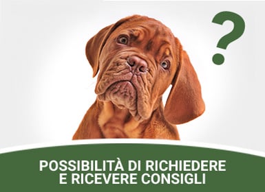 Possibilità di richiedere e ricevere consigli