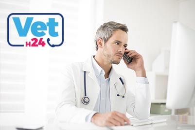 VET-H24