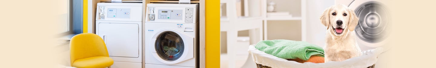 Pet Laundry - Isola dei Tesori