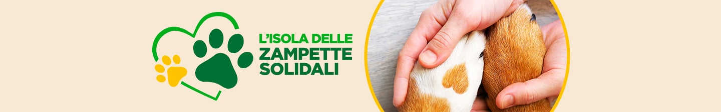 Charity- Isola dei Tesori
