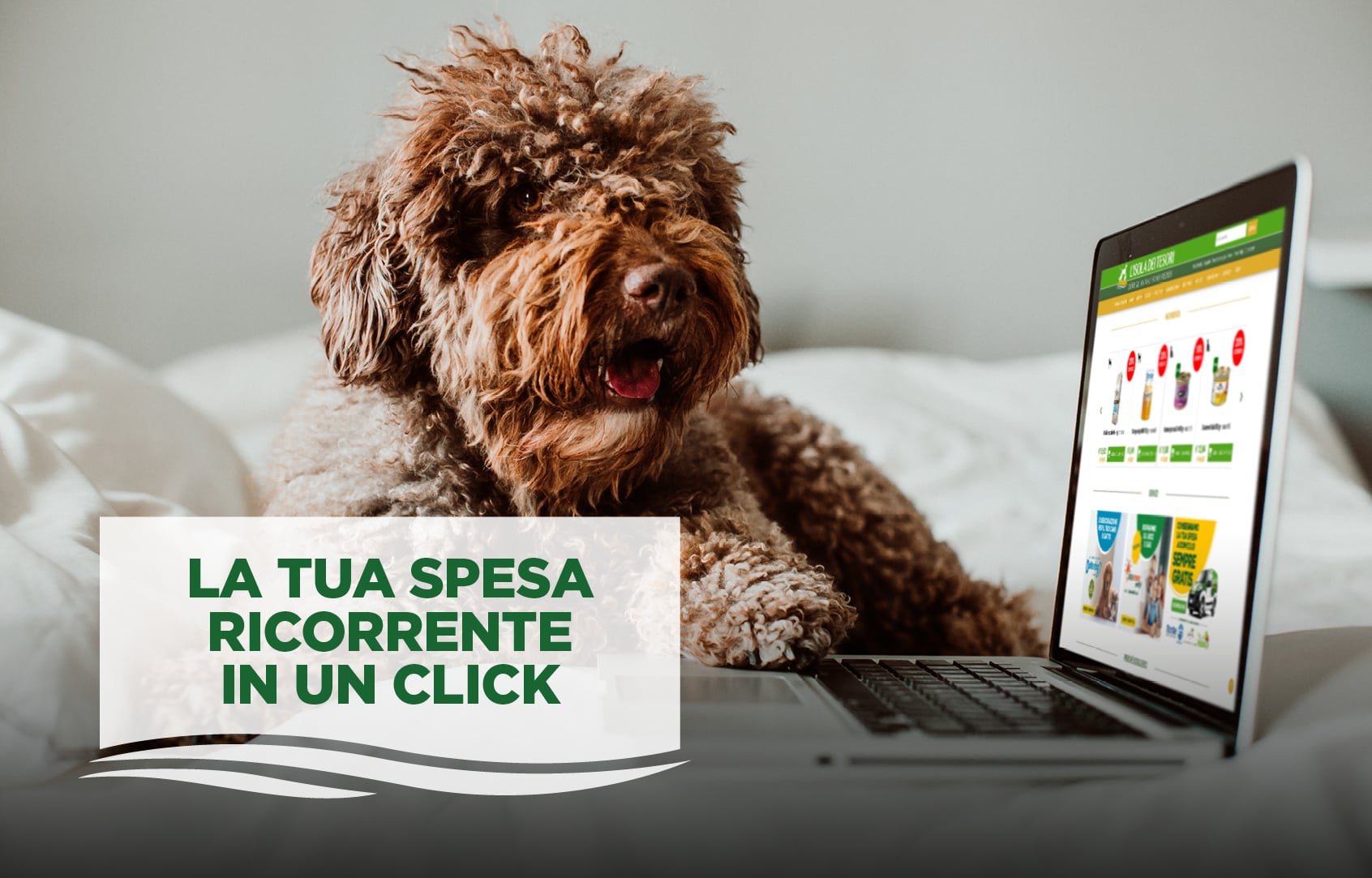 Servizio di acquisto periodico