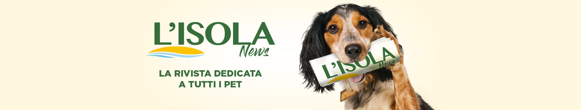 Magazine - Isola dei Tesori