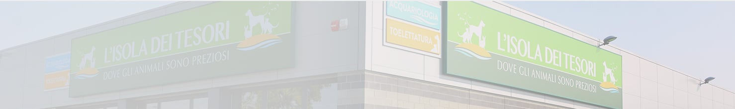 Isola dei Tesori - Franchising