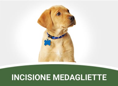 Incisione medagliette