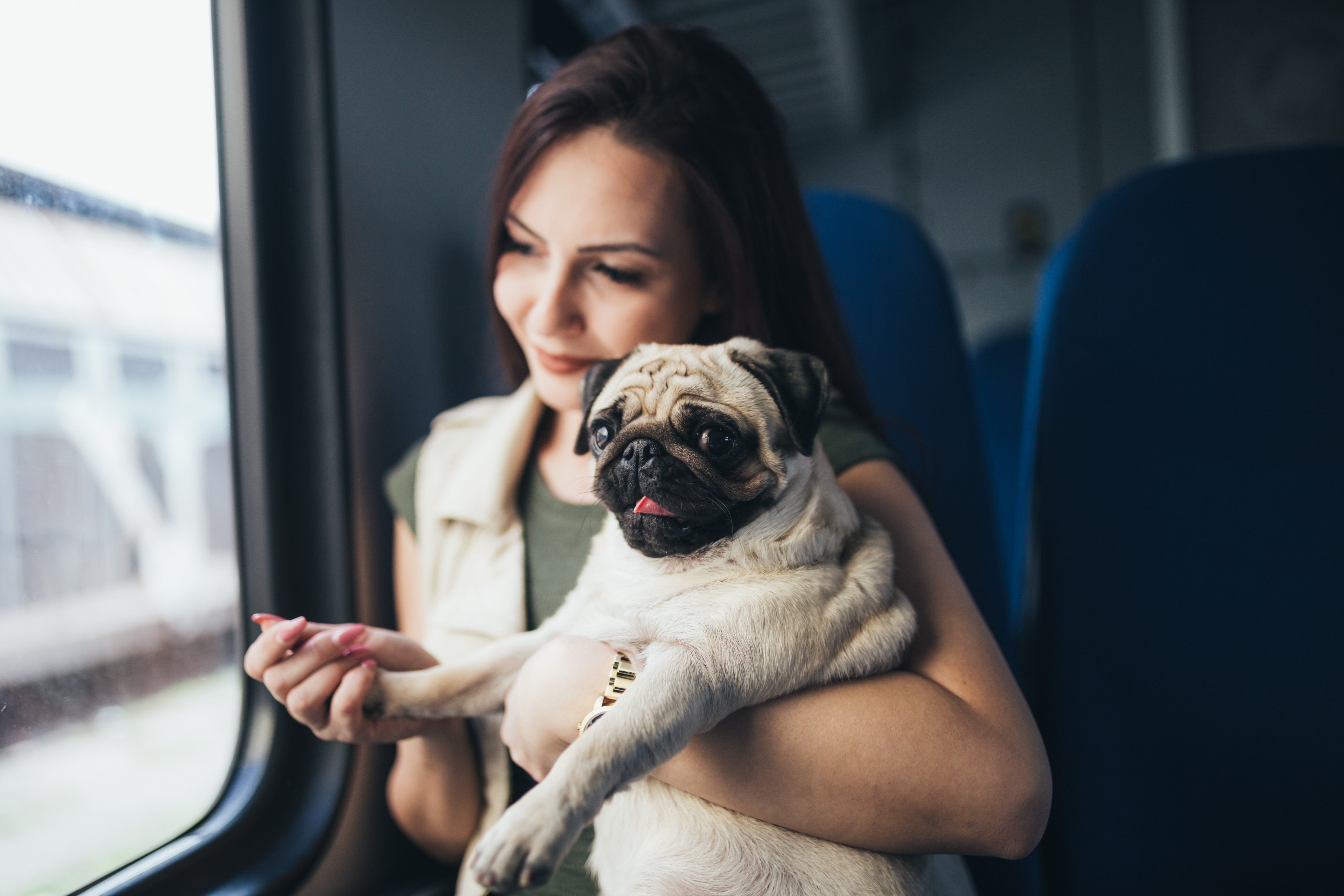 Il viaggio perfetto con il tuo pet: regole, consigli e trucchi per il treno