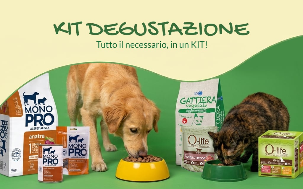 Kit Degustazione